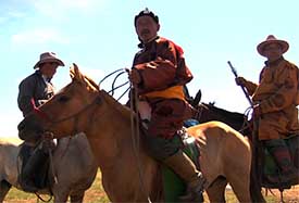 mongolian horse